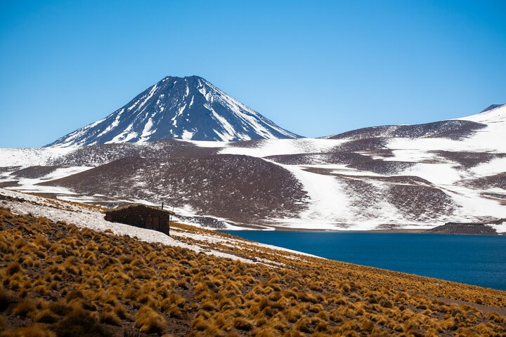 Full Day Tour to Piedras Rojas, Altiplanic Lagoons and Chaxa