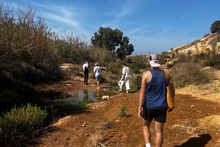 Essaouira Waterfall Hike & Coastal Walk with Tagine, Fishing