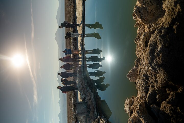 Full Day Tour to Piedras Rojas, Altiplanic Lagoons and Chaxa