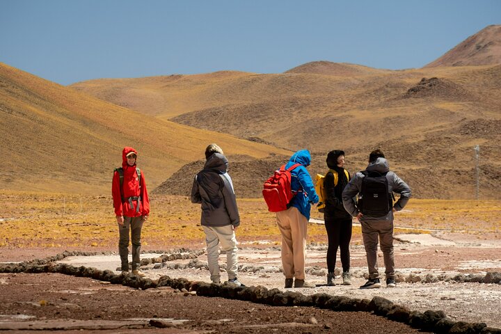 Full Day Tour to Piedras Rojas, Altiplanic Lagoons and Chaxa
