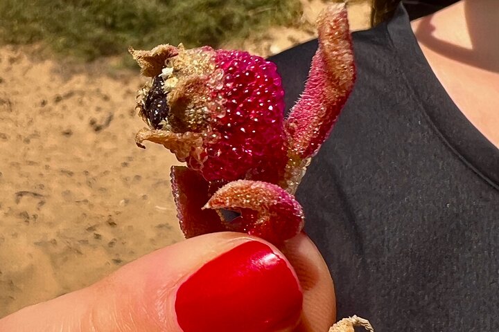 Essaouira Waterfall Hike & Coastal Walk with Tagine, Fishing