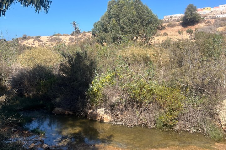 Essaouira Waterfall Hike & Coastal Walk with Tagine, Fishing