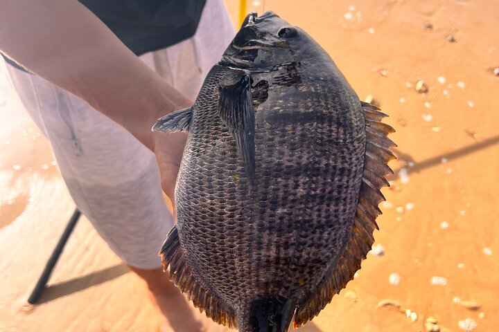 Essaouira Waterfall Hike & Coastal Walk with Tagine, Fishing