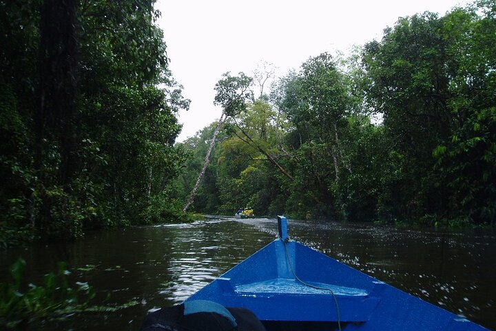 Sandakan: 2D1N Sukau Rainforest Wildlife Journey and Cruises