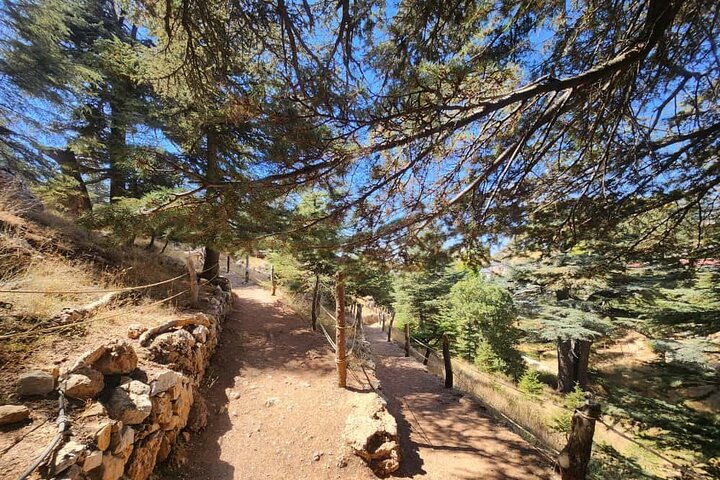 Bcharre - Qadisha Valley & Cedars Forest From Beirut