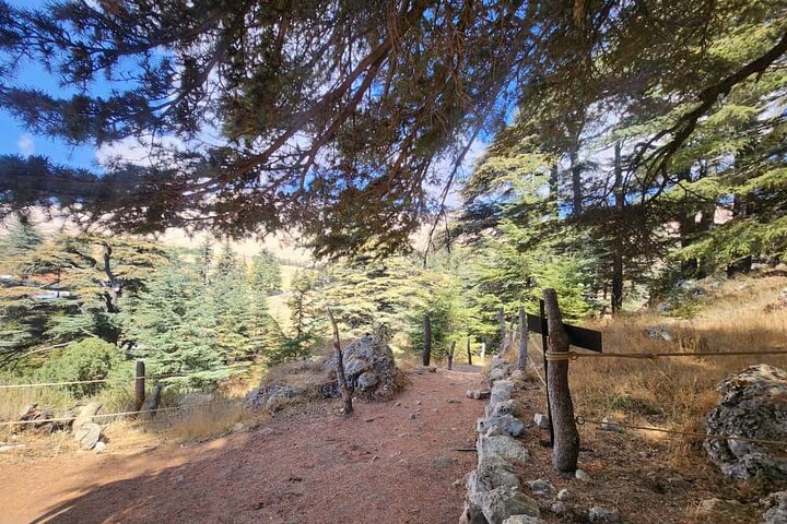 Bcharre - Qadisha Valley & Cedars Forest From Beirut
