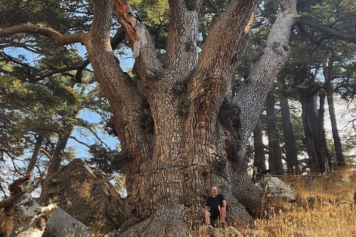 Bcharre - Qadisha Valley & Cedars Forest From Beirut