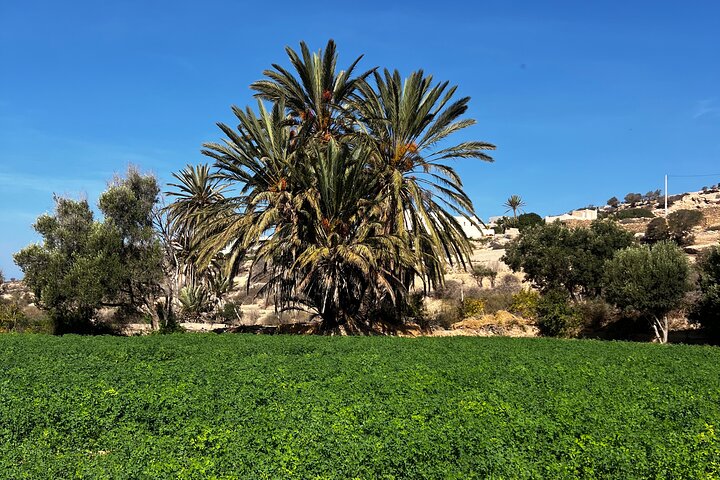 Essaouira Waterfall Hike & Coastal Walk with Tagine, Fishing