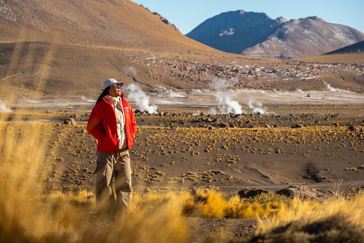 Half Day Tour to Geysers del Tatio