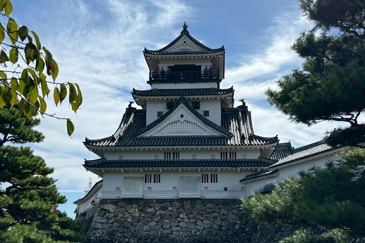 Best of Kochi Half-Day Tour: Castle & Hirome Market
