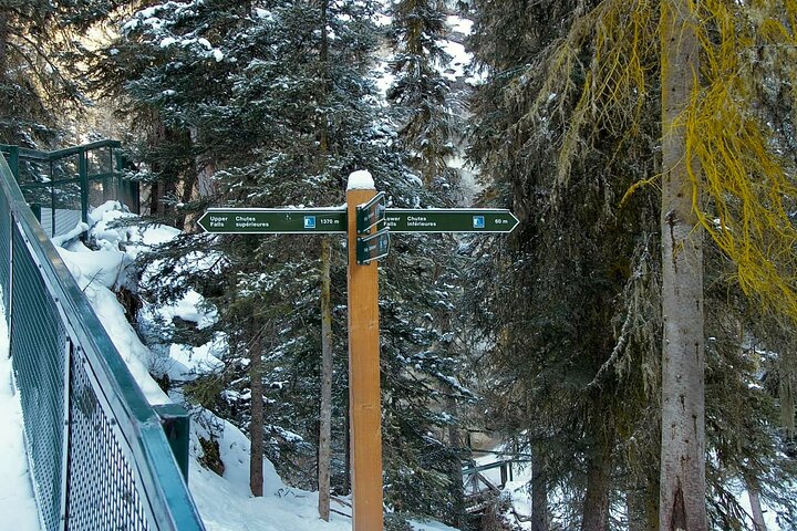 Explore Moraine Lake & Lake Louise Roundtrip Shared Tour