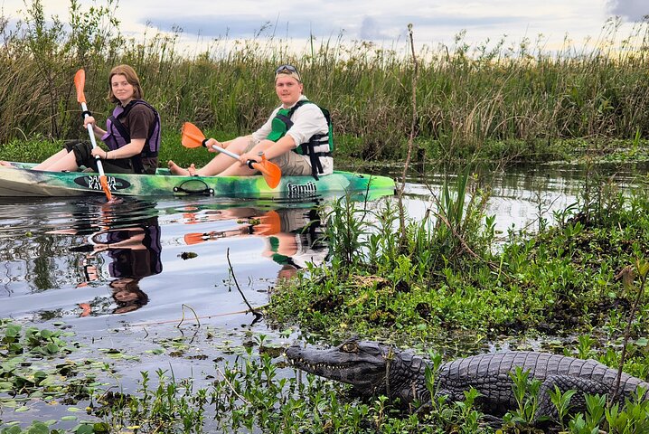 Connect with the nature of Iberá on a private tour
