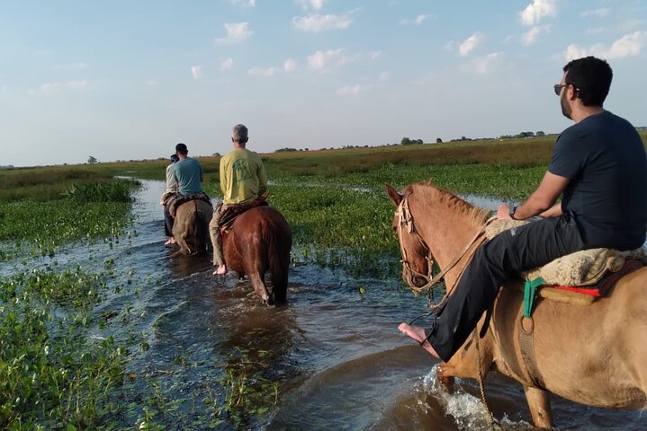 Connect with the nature of Iberá on a private tour