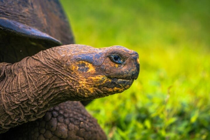 7 Days Tour Galapagos Island Hopping with 3 Islands