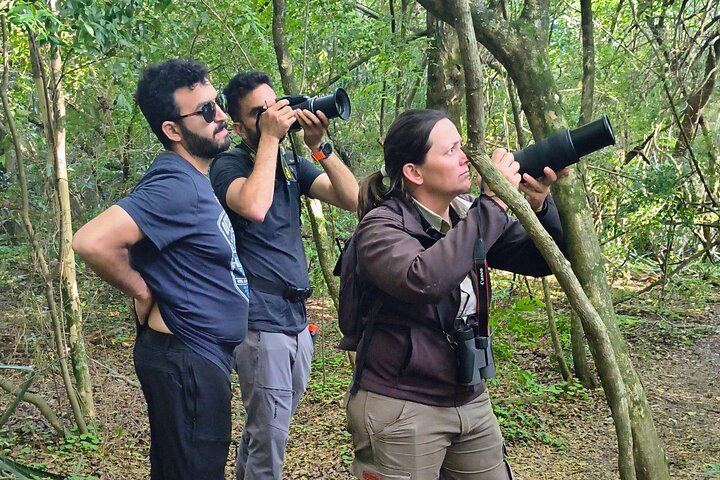 Connect with the nature of Iberá on a private tour