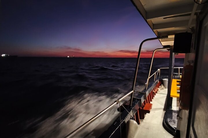 Cascais to Lisbon Sunset Cruise With Open Bar