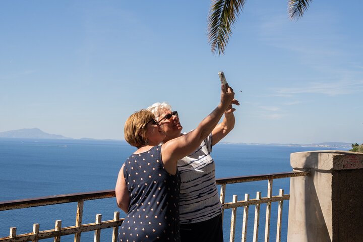 Premium Minivan Trip from Rome: Pompeii Tour & Lunch in Sorrento