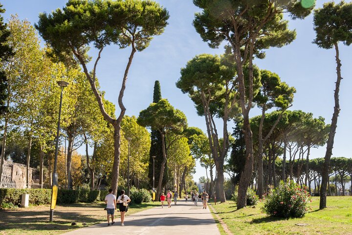 Premium Minivan Trip from Rome: Pompeii Tour & Lunch in Sorrento