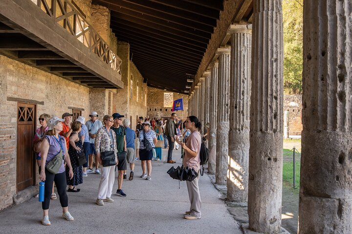 Premium Minivan Trip from Rome: Pompeii Tour & Lunch in Sorrento