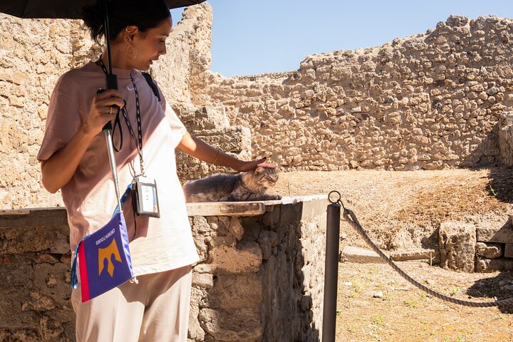Premium Minivan Trip from Rome: Pompeii Tour & Lunch in Sorrento