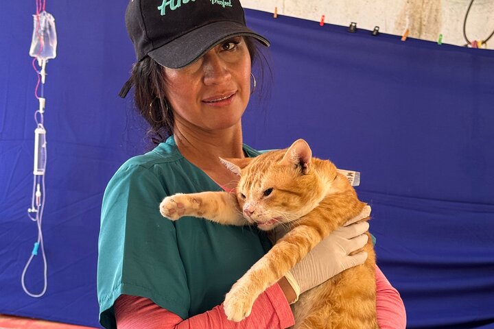 Volunteering with Animals and Communities in Guajira