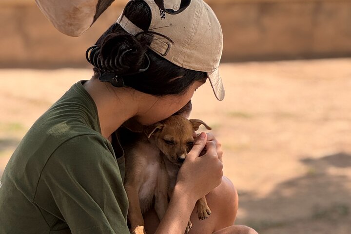 Volunteering with Animals and Communities in Guajira