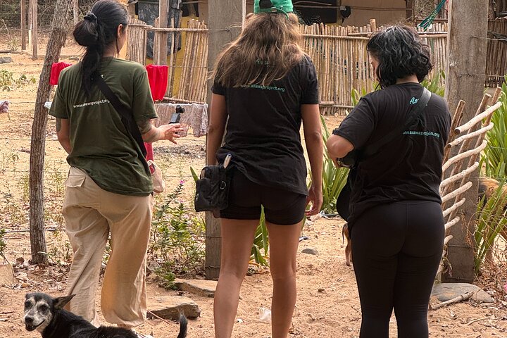 Volunteering with Animals and Communities in Guajira