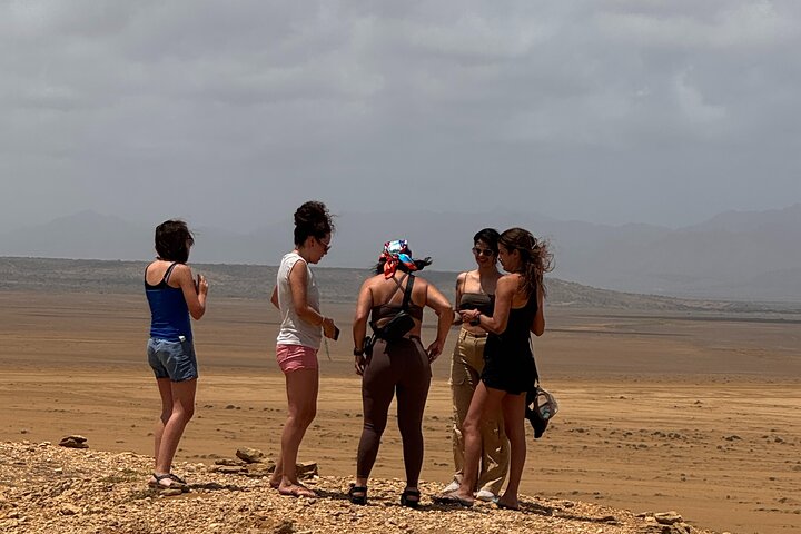 Volunteering with Animals and Communities in Guajira