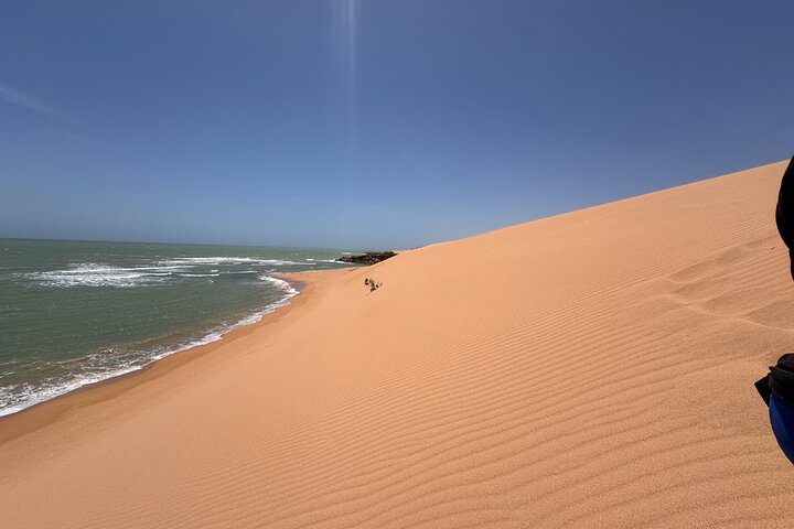Volunteering with Animals and Communities in Guajira