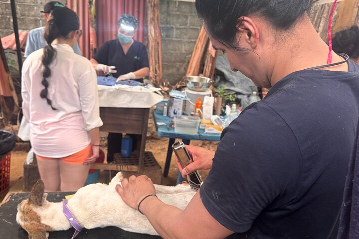 Volunteering with Animals and Communities in Guajira