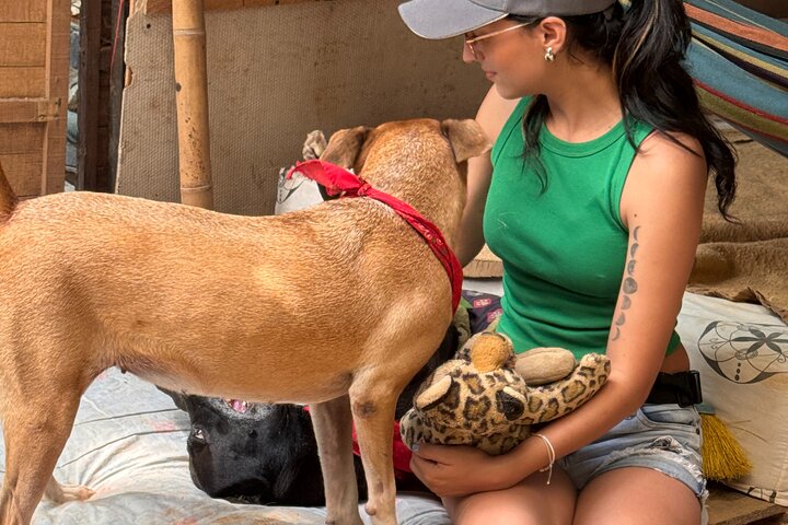 Volunteering with Animals and Communities in Guajira