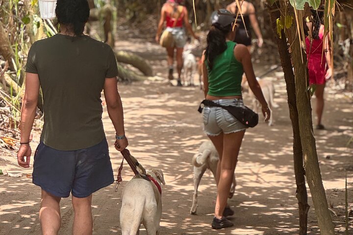 Volunteering with Animals and Communities in Guajira