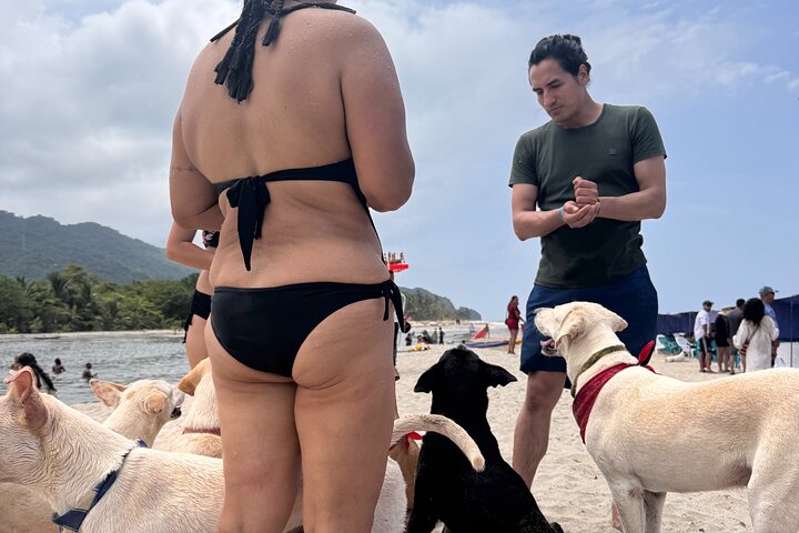 Volunteering with Animals and Communities in Guajira