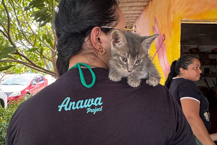 Volunteering with Animals and Communities in Guajira