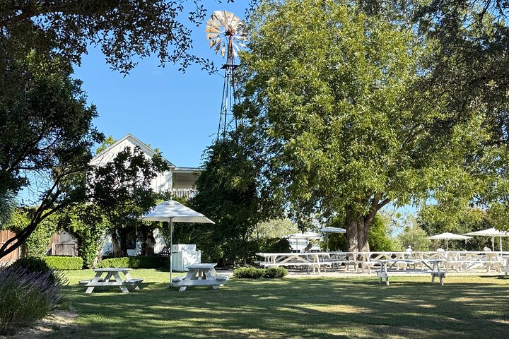 Wine Tour Pros - Private Fredericksburg Wine Tour Up to 11 people