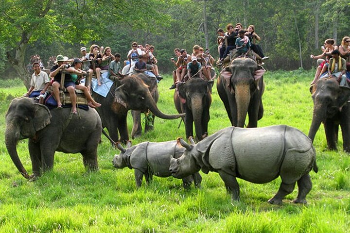 Half Day Sharing Jeep Safari in Chitwan National Park