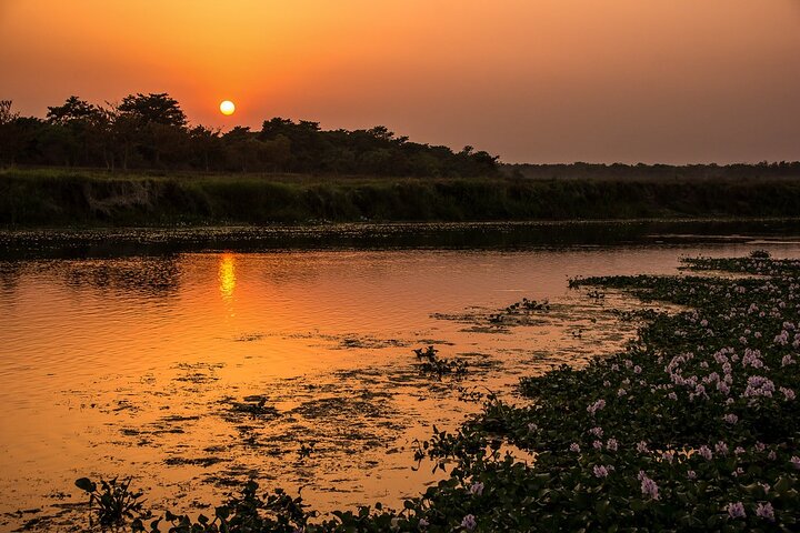 Half Day Sharing Jeep Safari in Chitwan National Park