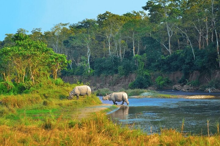 Half Day Sharing Jeep Safari in Chitwan National Park
