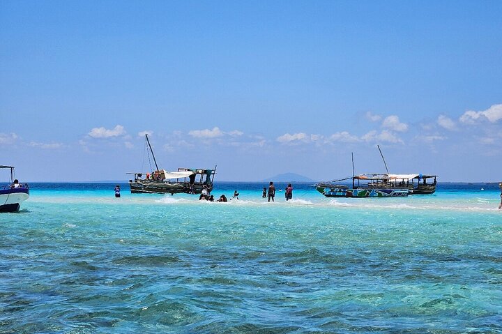 Kisite Mpunguti Marine Park Full Day Excursion