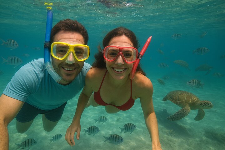 Sea Turtle Snorkel Tour
