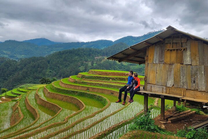 Mu Cang Chai Private Full-Day Car Tour with Local Hmong Guide