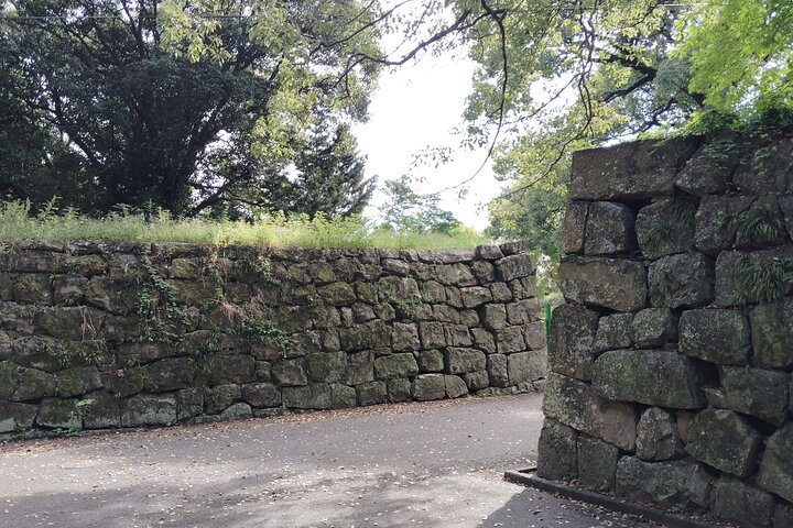 Wakayama: The Tokugawa Castle That Guarded the Southern Coast