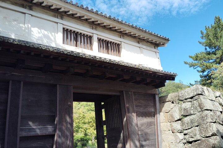 Wakayama: The Tokugawa Castle That Guarded the Southern Coast