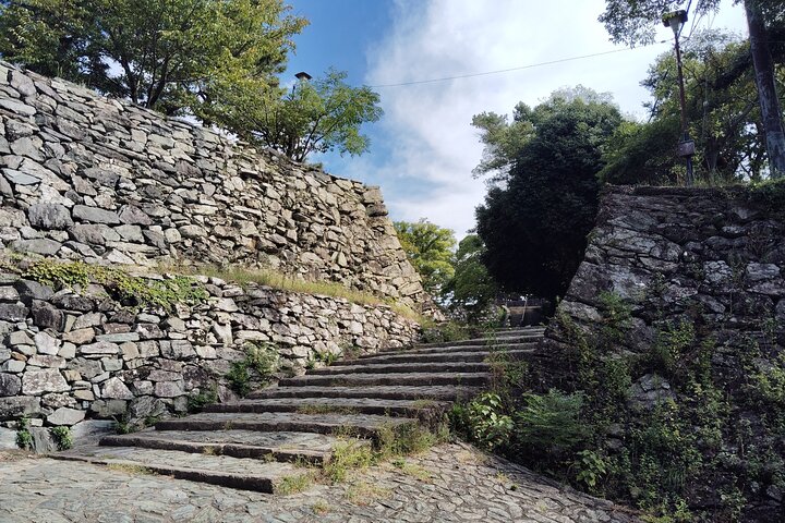 Wakayama: The Tokugawa Castle That Guarded the Southern Coast