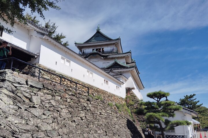 Wakayama: The Tokugawa Castle That Guarded the Southern Coast