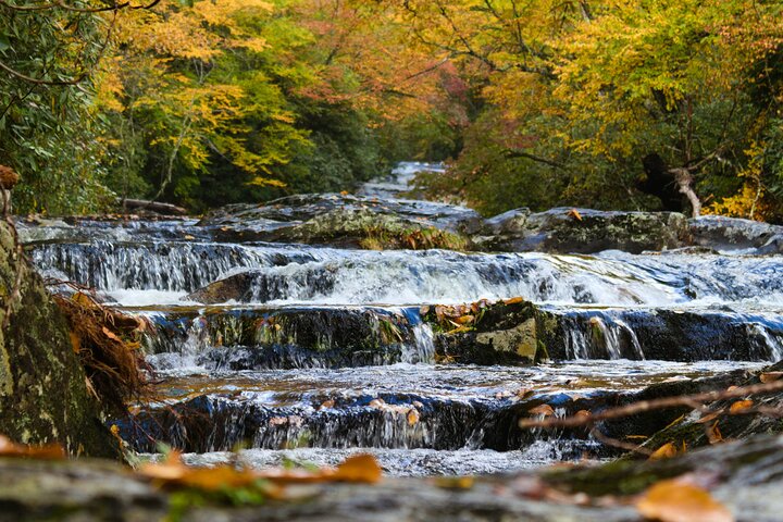 Great Smoky Mountains Self-Guided Scenic Drive and Audio Tour