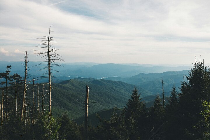 Great Smoky Mountains Self-Guided Scenic Drive and Audio Tour
