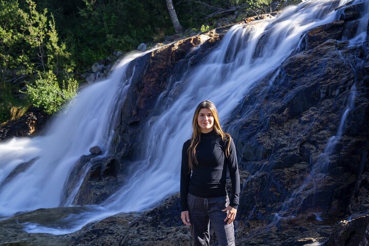 Tromsø: Fjord Adventure Tour with Wildlife and Lunch