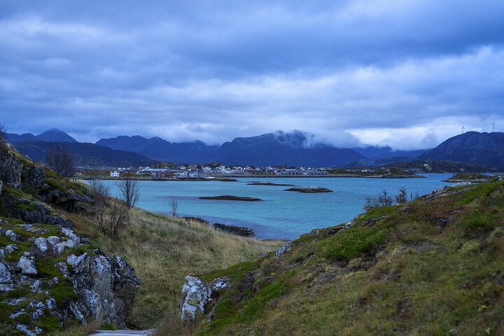 Tromsø: Big Bus Fjord Tour with free photos and wildlife