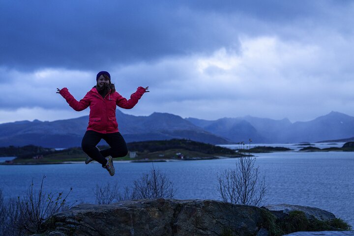 Tromsø: Fjord Adventure Tour with Wildlife and Lunch